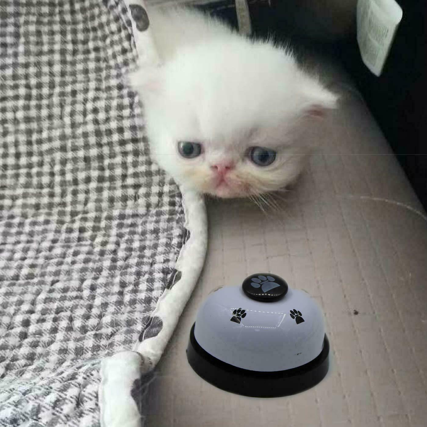 Training Pet Bells